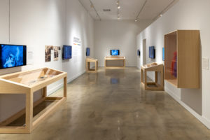 Queer Miami exhibition | Artifact cases and video monitors
